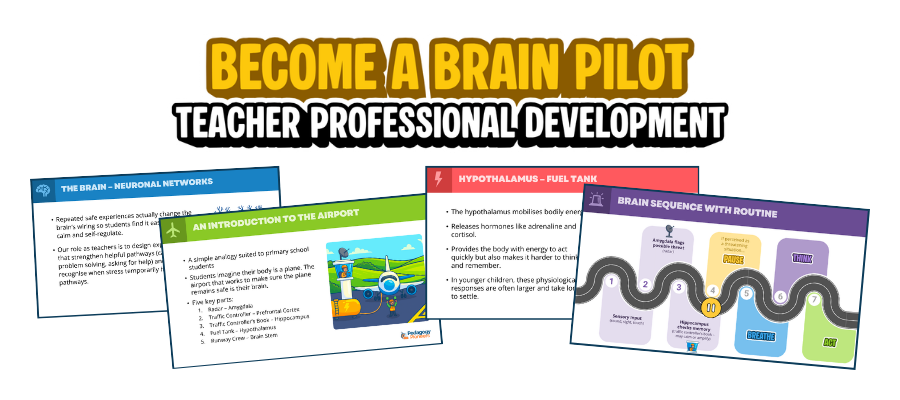 Behaviour Brainpilotteacherintro