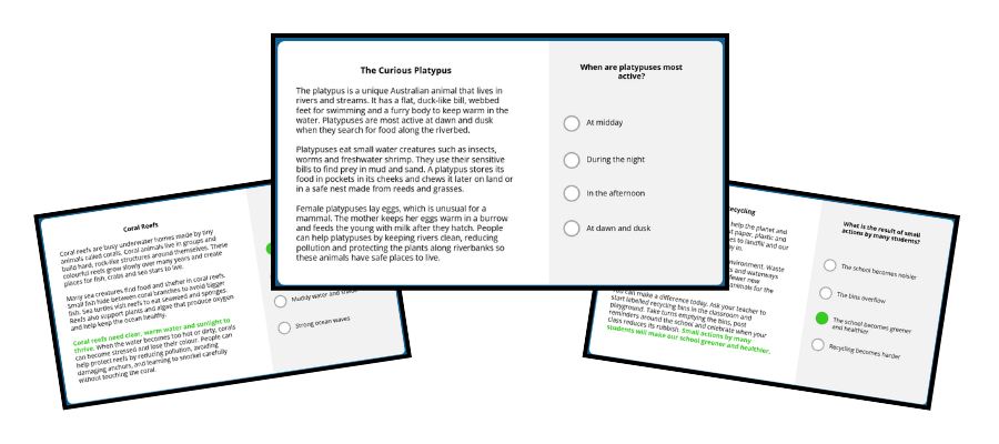 Years34 Readingcomprehensionnaplanppt